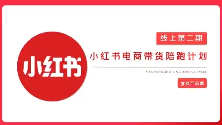 2025小红书虚拟电商实战课，带你入局未来电商