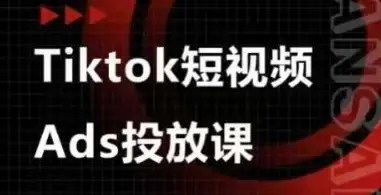 TikTok短视频广告投放课，Ads视频投放的必备秘籍