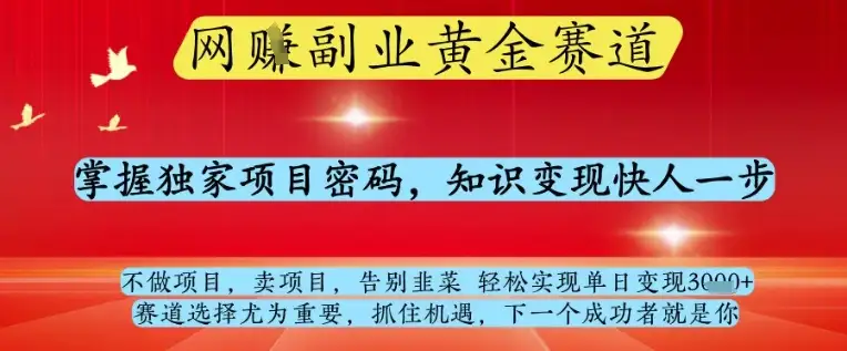 揭秘网创副业全赛道，独家项目密码助你知识变现，告别韭菜轻松实现单日1k+！