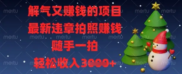 闲暇时间也能挣钱，最新违章拍照项目，解气又轻松赚钱！