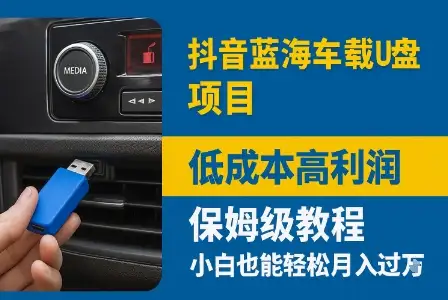 零门槛副业推荐！抖音车载U盘项目实操，低成本高利润月赚1W+