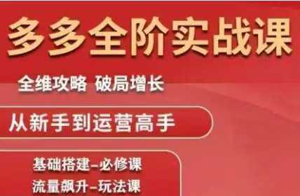拼多多全阶实战课程（10月更新）：从入门到精通，掌握最新运营技巧