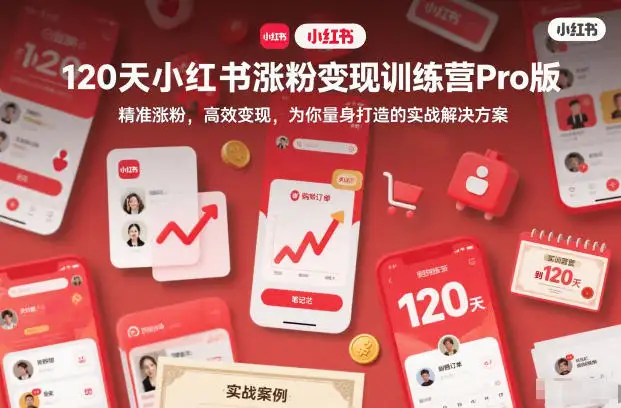 120天小红书涨粉变现训练营Pro版，精准涨粉高效变现，实战解决方案！