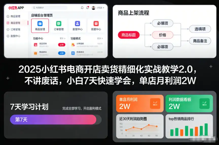 小红书电商开店卖货2.0：小白7天快速学会，单店月利润2W