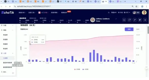 东南亚TikTok小店运营实操，轻松实现店铺业绩增长