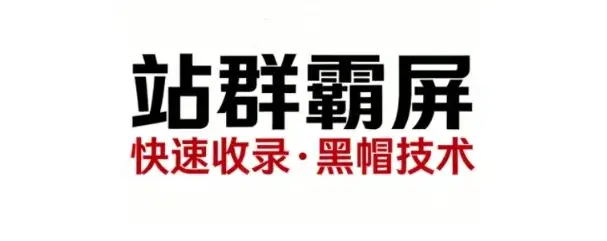 SEO进阶必备！野路子实战技巧，从快速收录到黑帽技术全覆盖！