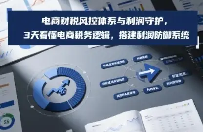 电商财税不再难！3天掌握税务逻辑，快速搭建利润防御系统！