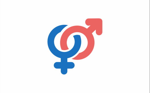 成人用品独立站打造秘籍:运营成功的七大关键步骤