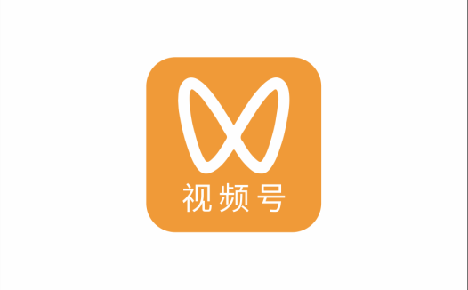 视频号必备实战技巧:选题拍摄、运营推广、带货全流程学习